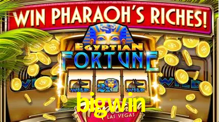 Cassino ao vivo com dealers reais na bigwin